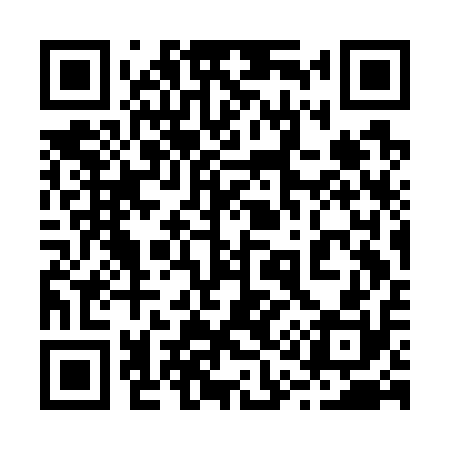 QR code for 213G10