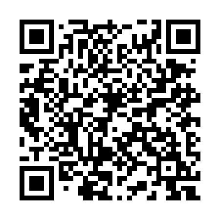 QR code for 220DIM