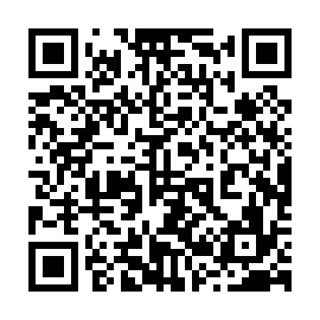 QR code for 220P36
