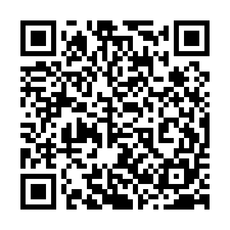 QR code for 221A55
