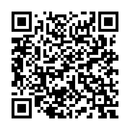 QR code for 221IMM