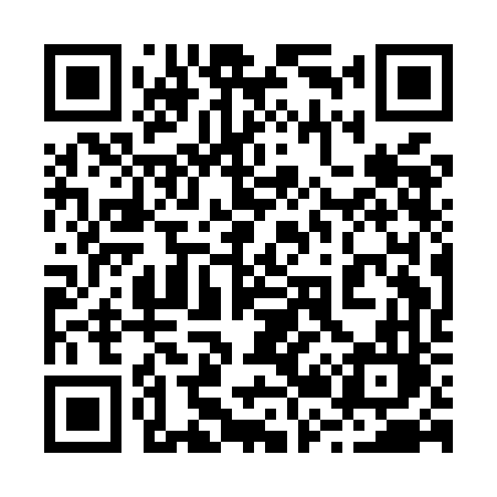 QR code for 221MFL
