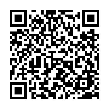 QR code for 225GOC