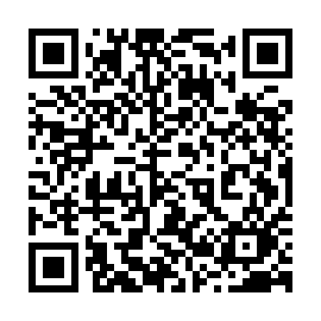 QR code for 225IAO