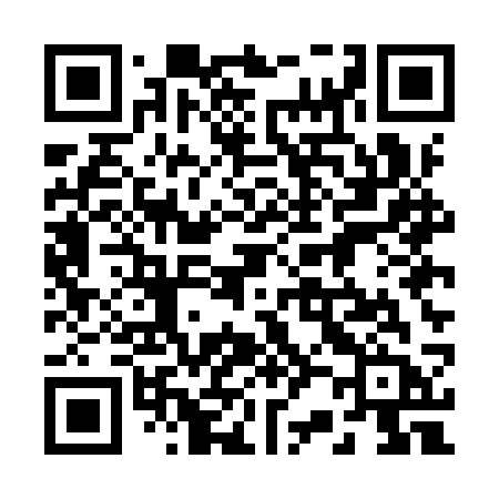 QR code for 225ISB