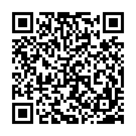 QR code for 225N96