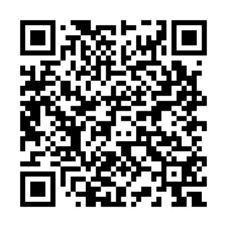 QR code for 228A50