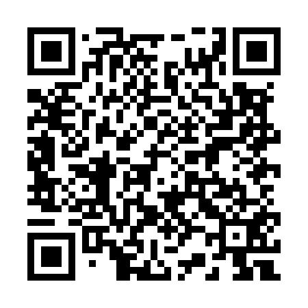 QR code for 228M51