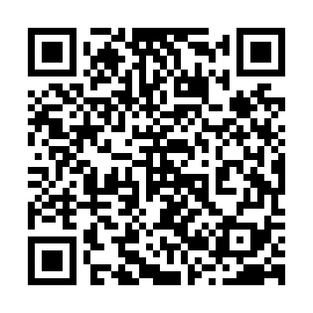 QR code for 228N79