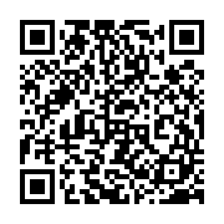 QR code for 229E41