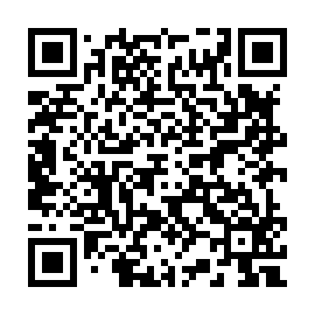 QR code for 229H96