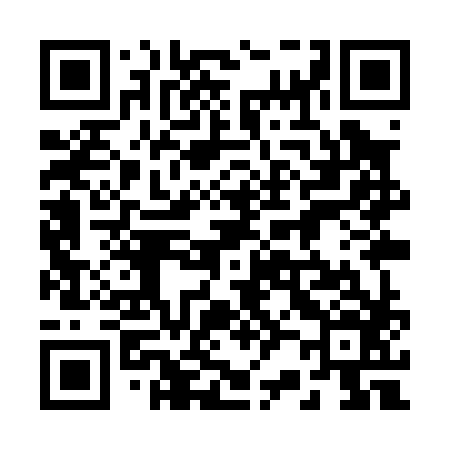 QR code for 229P86