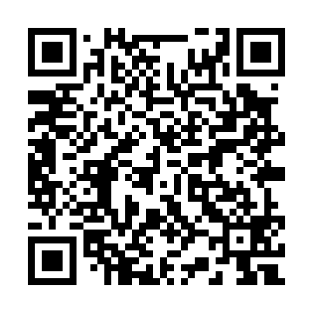 QR code for 229P99