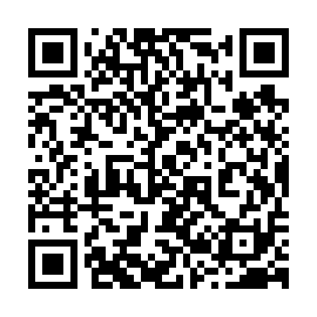 QR code for 229V11