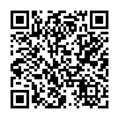 QR code for 22P399