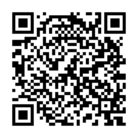 QR code for 233Z81