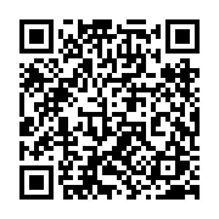 QR code for 238BBS