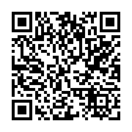 QR code for 238L63