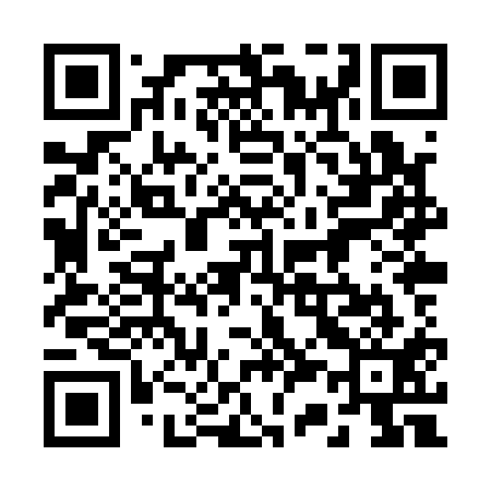 QR code for 238Q11