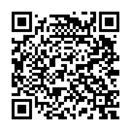 QR code for 238T33