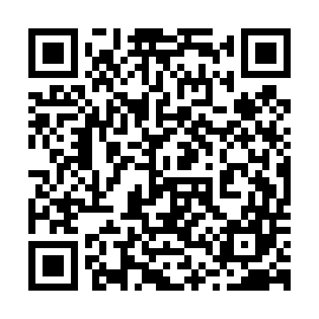 QR code for 241D47