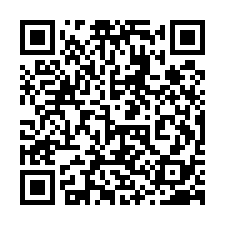 QR code for 241E38
