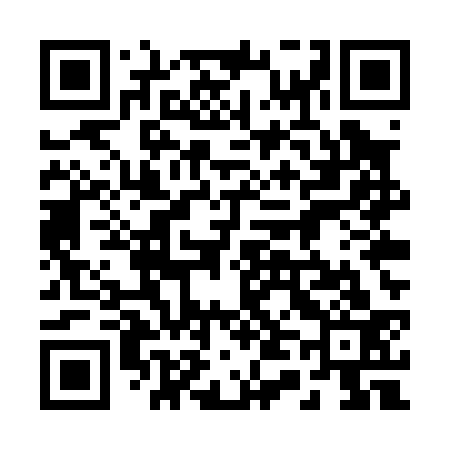 QR code for 245P33