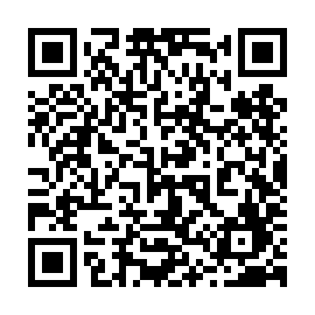 QR code for 246TIF