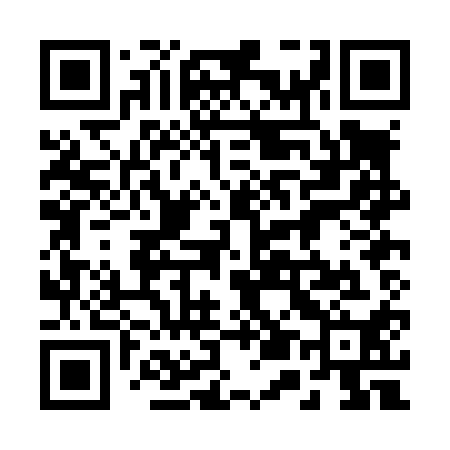 QR code for 250L10