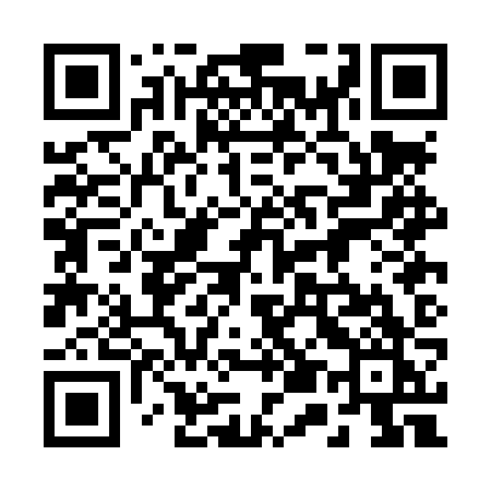 QR code for 250LZK