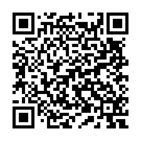 QR code for 250N16
