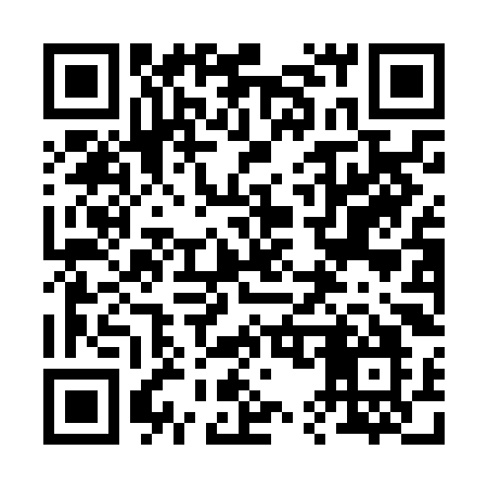 QR code for 250NKO