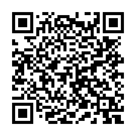 QR code for 250NQP