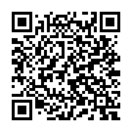 QR code for 250WWI