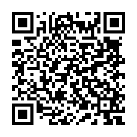 QR code for 251L41