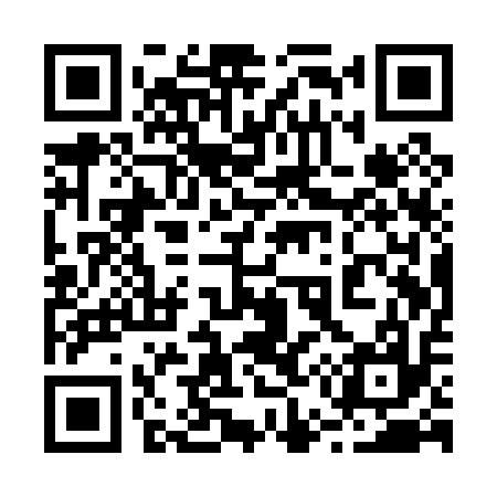 QR code for 251P17