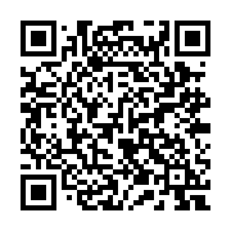 QR code for 251PAI