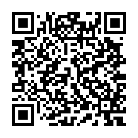 QR code for 252P85