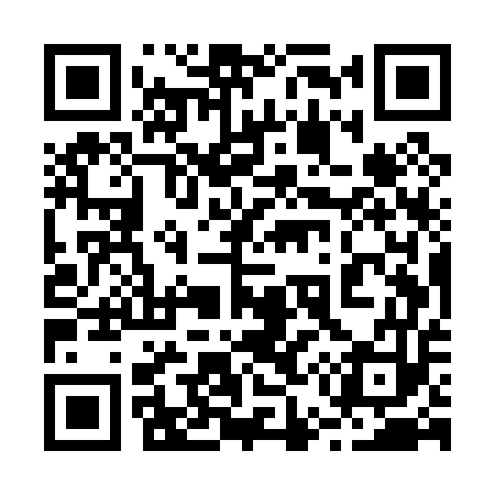 QR code for 255P53