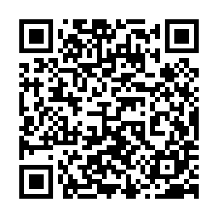 QR code for 255P85