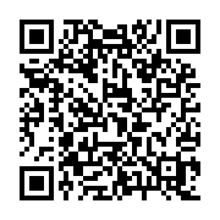QR code for 256IAI