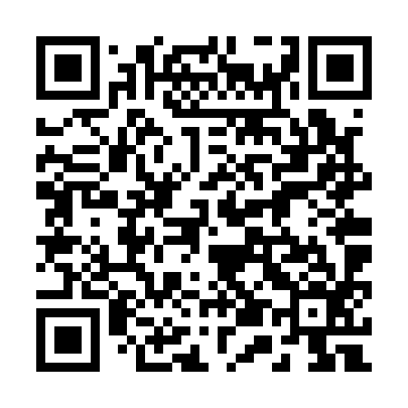 QR code for 256Q96