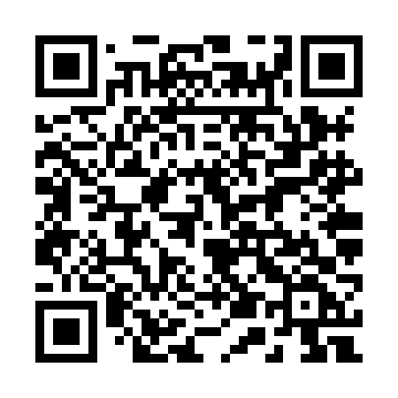 QR code for 256XFF