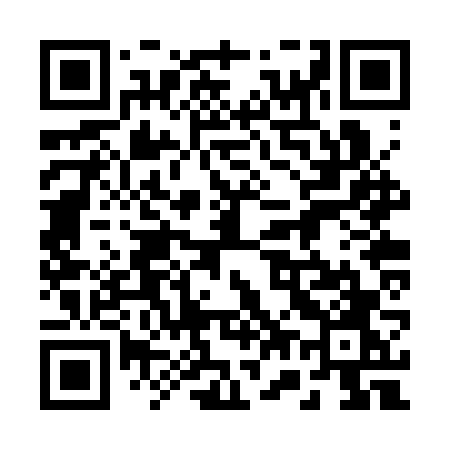 QR code for 272SVO