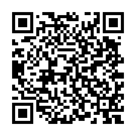 QR code for 287T91