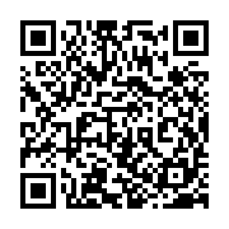 QR code for 289Z95