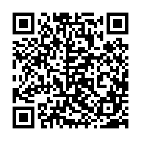 QR code for 28P206