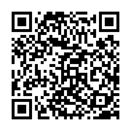 QR code for 28P729