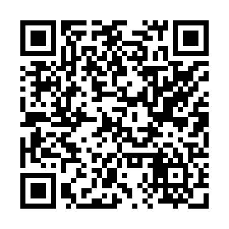 QR code for 28P825