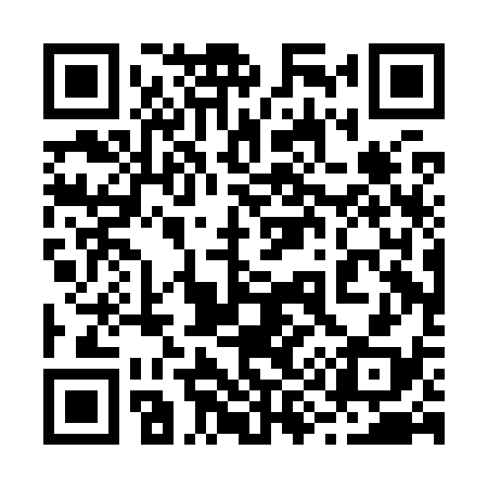 QR code for 290K38
